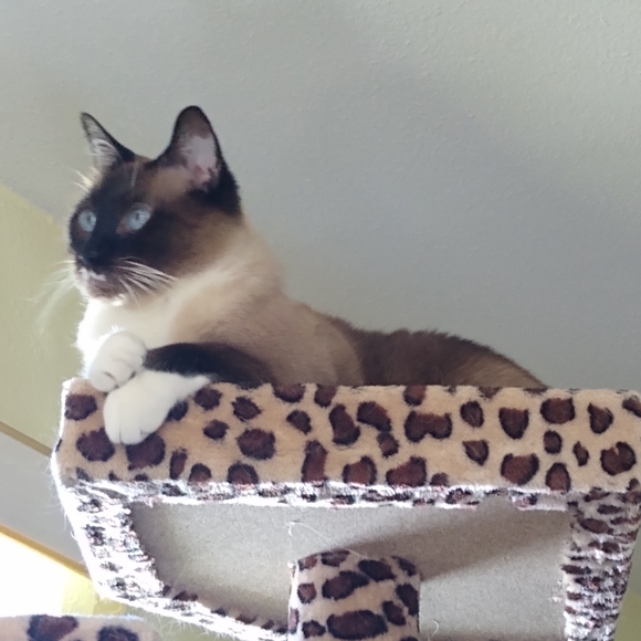 Meet your Posher, Darlene - Picture 9 of 16